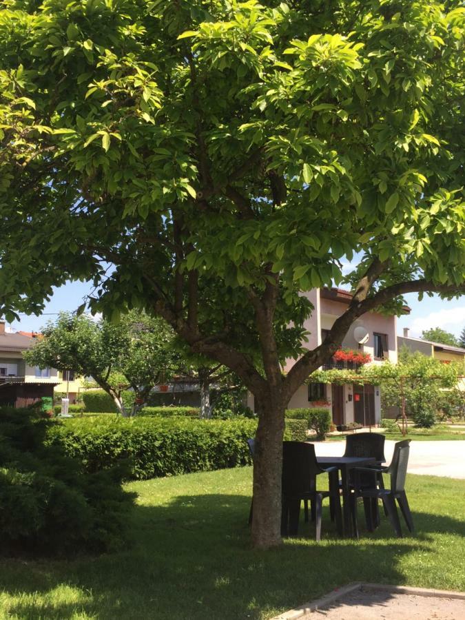 Apartman Studio Sonas 3 With Free Private Parking Karlovac Eksteriør billede